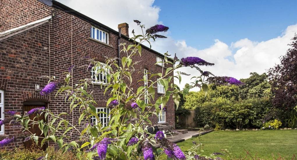 Garden view of the hen party house with flowers in view