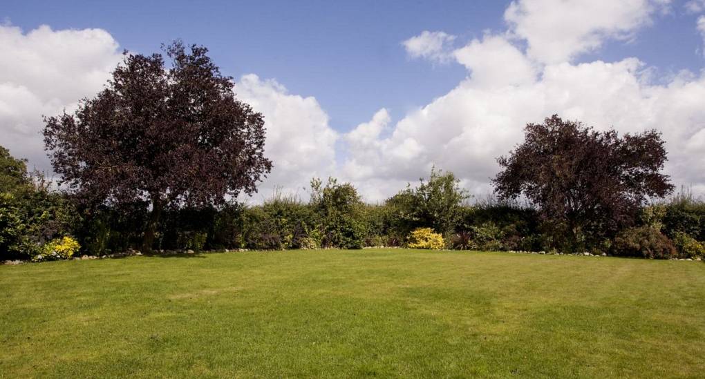 Large open garden that can be used for activities 